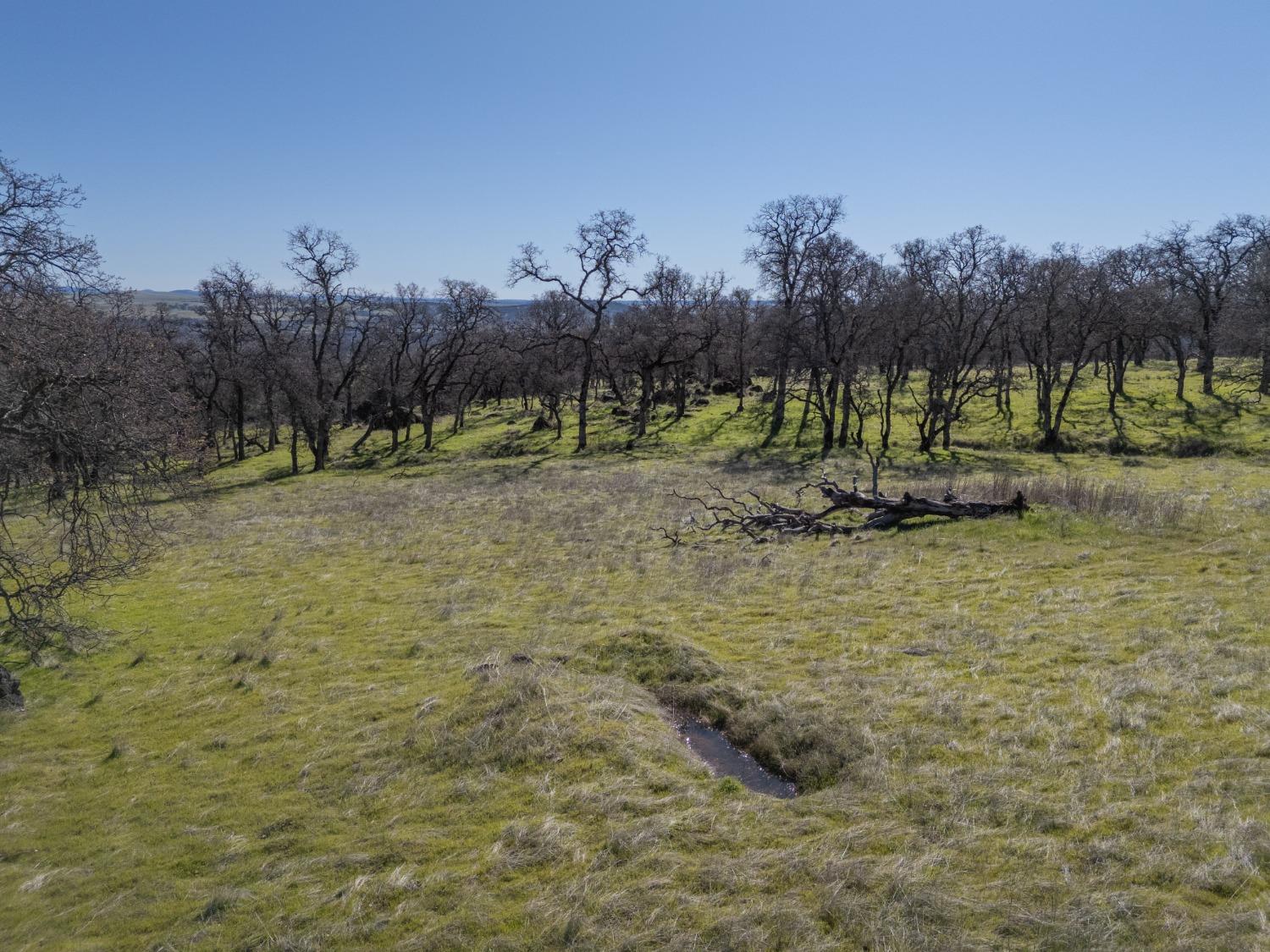 0 Stern Lane Browns Valley, CA 95918 - Photo 8 of 21