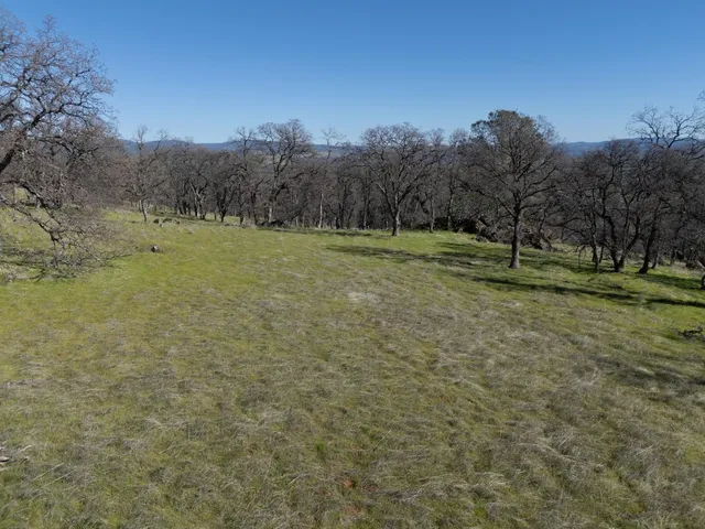 a view of swimming pool with trees