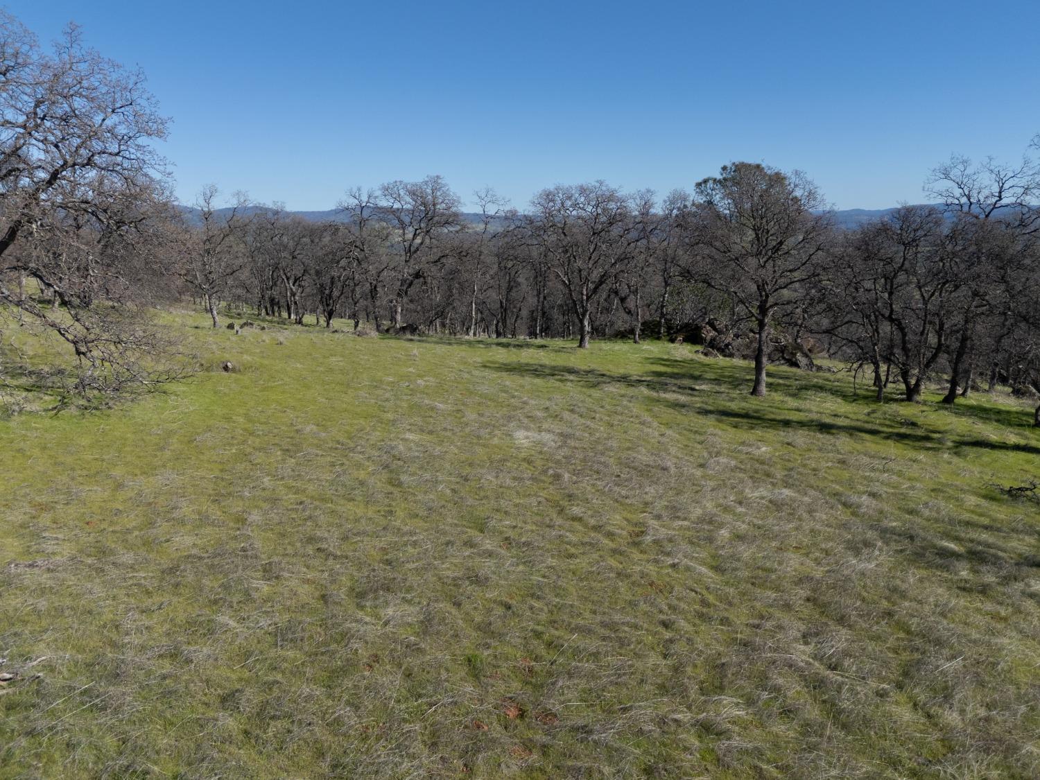 0 Stern Lane Browns Valley, CA 95918 - Photo 9 of 21 a view of outdoor space and yard