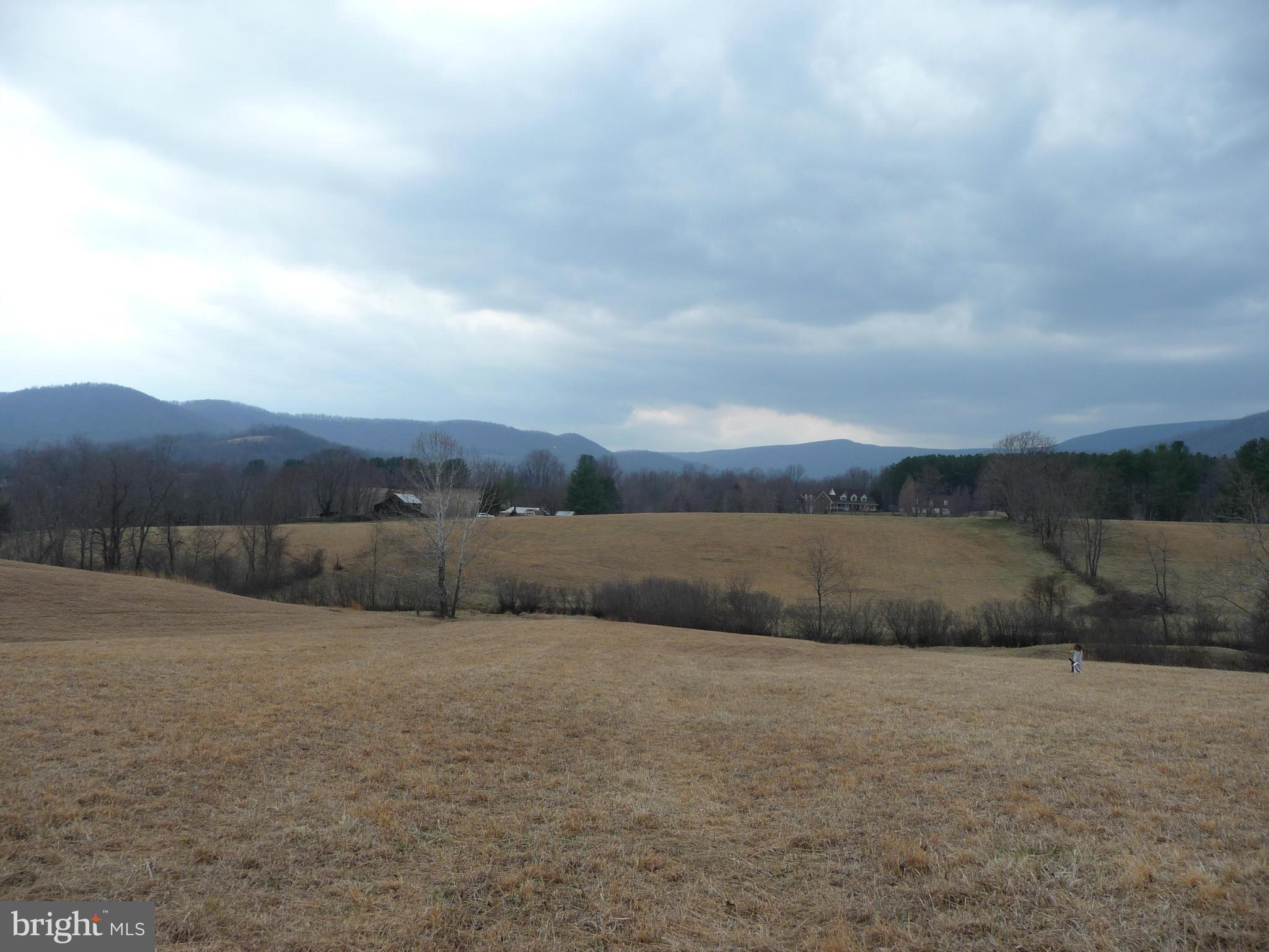 100 Fodderstack Road Washington, VA 22747 - Photo 1 of 30 Exterior (General)