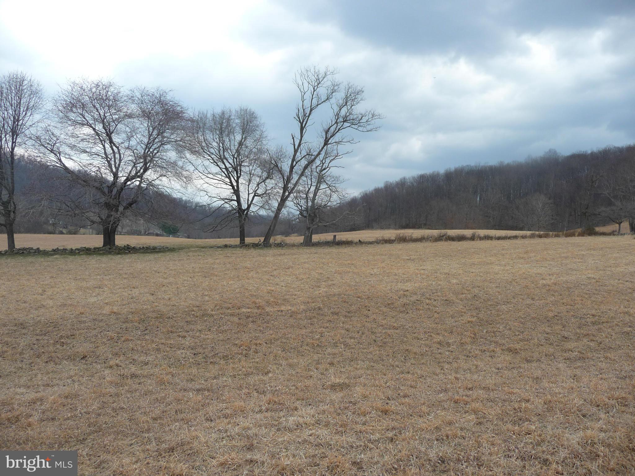 100 Fodderstack Road Washington, VA 22747 - Photo 19 of 30 Exterior (General)