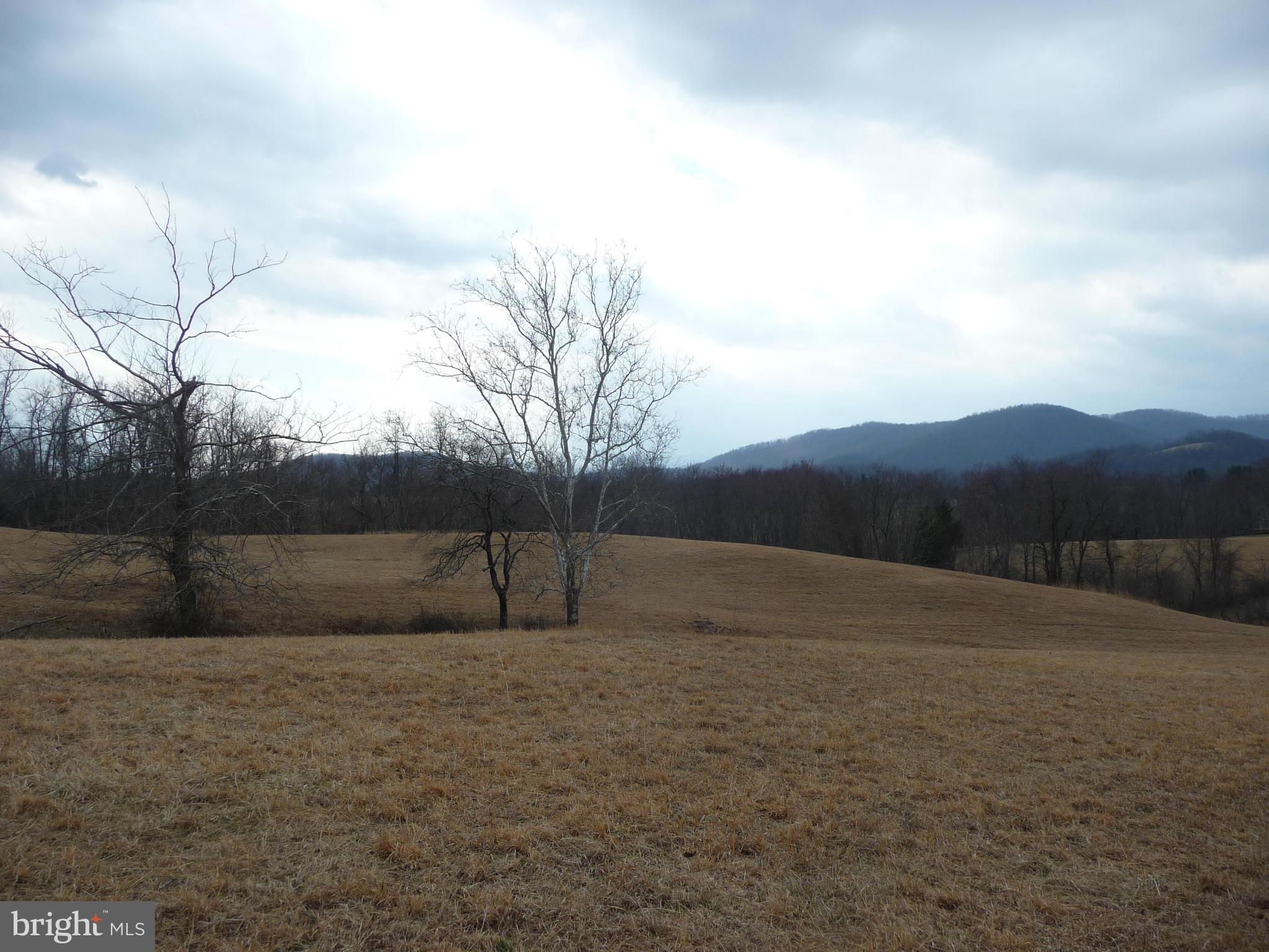 100 Fodderstack Road Washington, VA 22747 - Photo 20 of 30 Exterior (General)