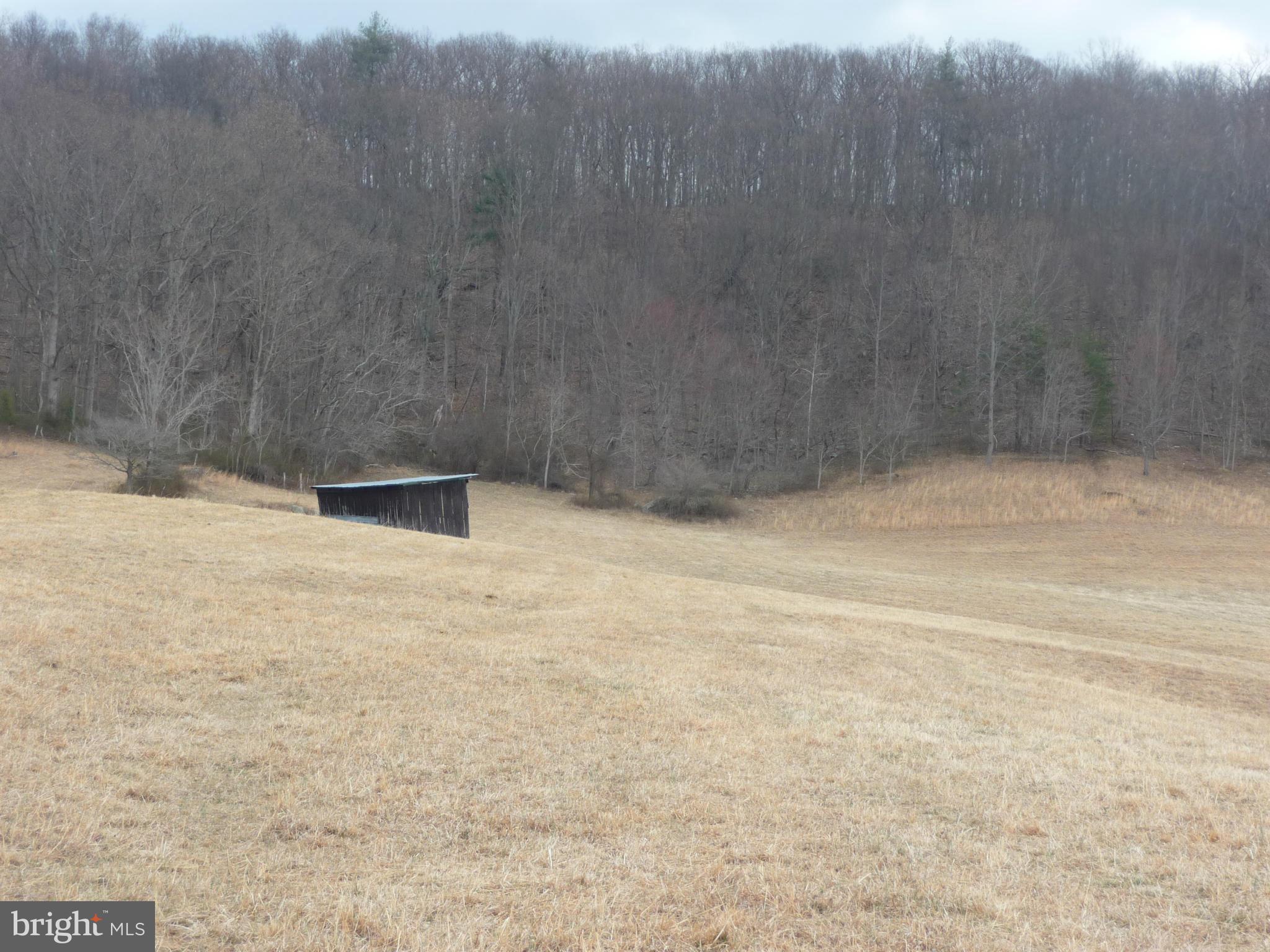 100 Fodderstack Road Washington, VA 22747 - Photo 22 of 30 Exterior (General)