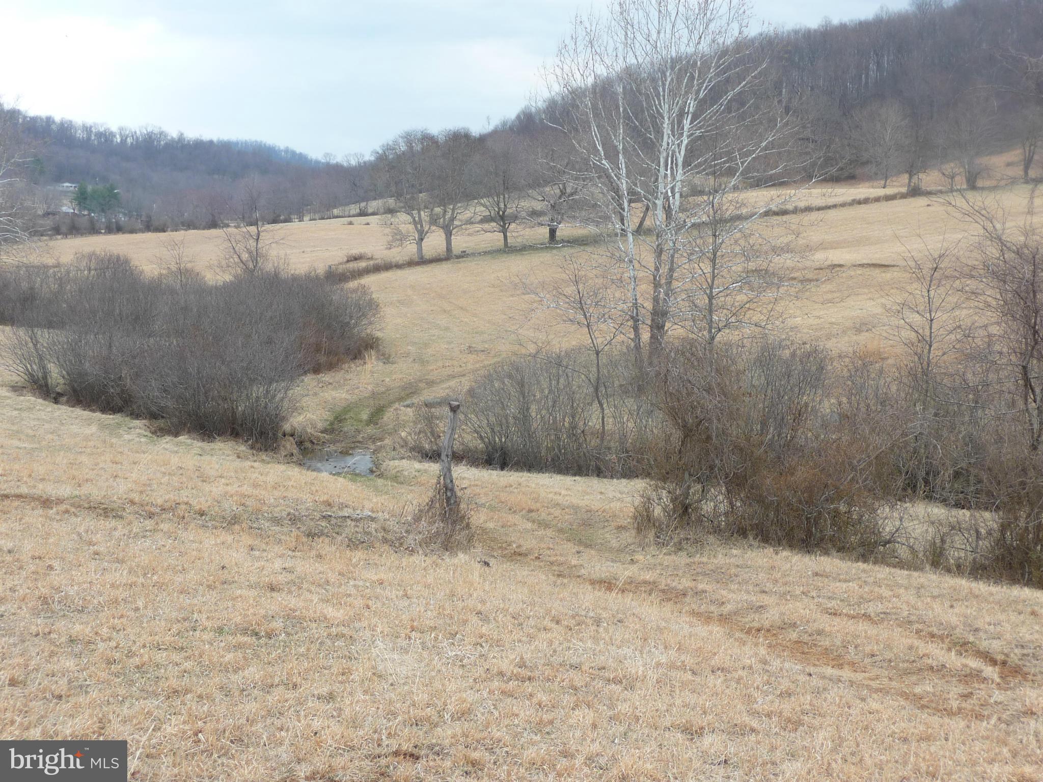 100 Fodderstack Road Washington, VA 22747 - Photo 23 of 30 Exterior (General)