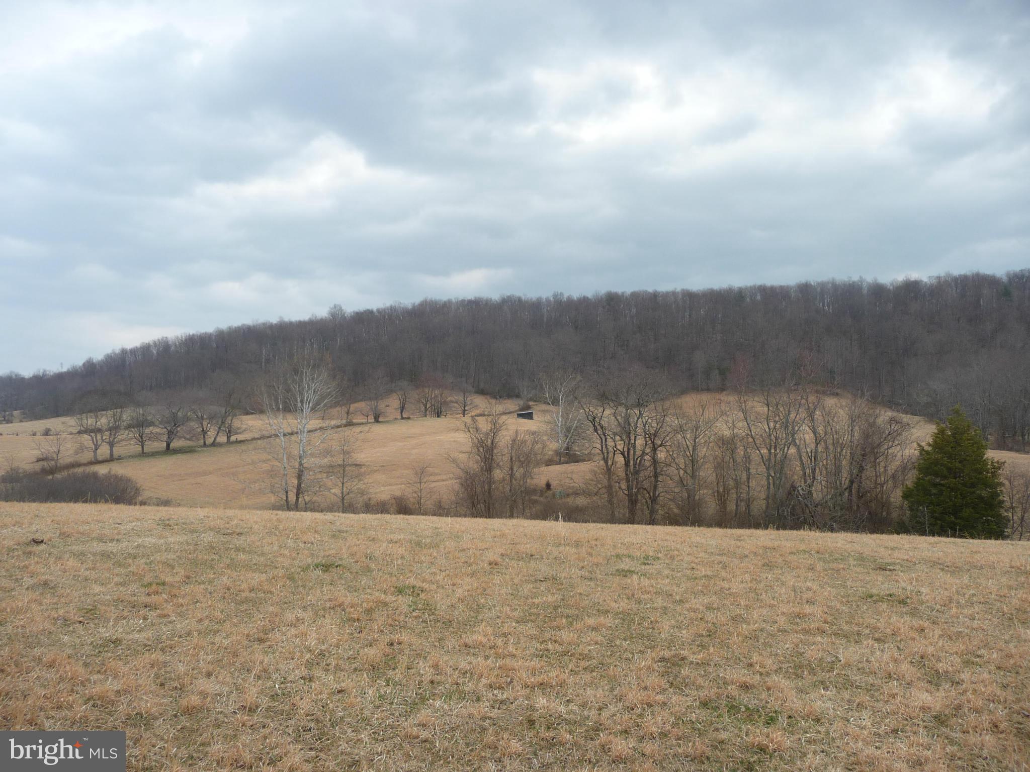 100 Fodderstack Road Washington, VA 22747 - Photo 24 of 30 Exterior (General)