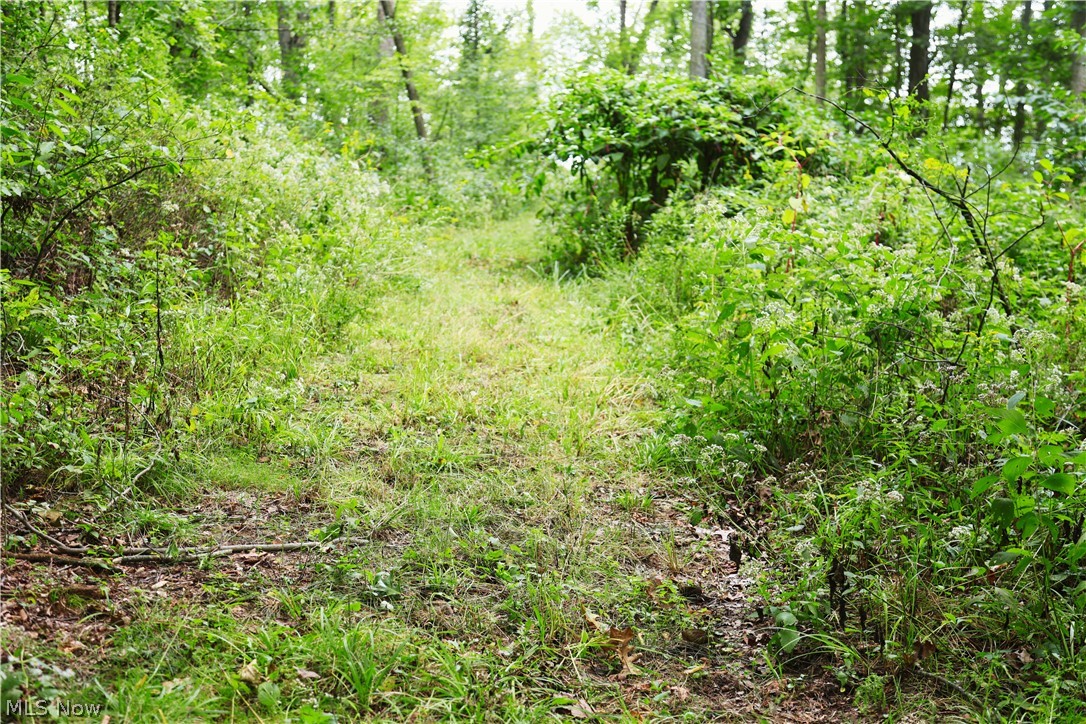 212 Township Road Fresno, OH 43824 - Photo 22 of 50 Additional content