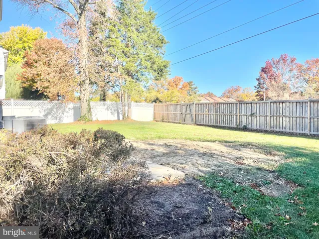 a view of a backyard with a large tree