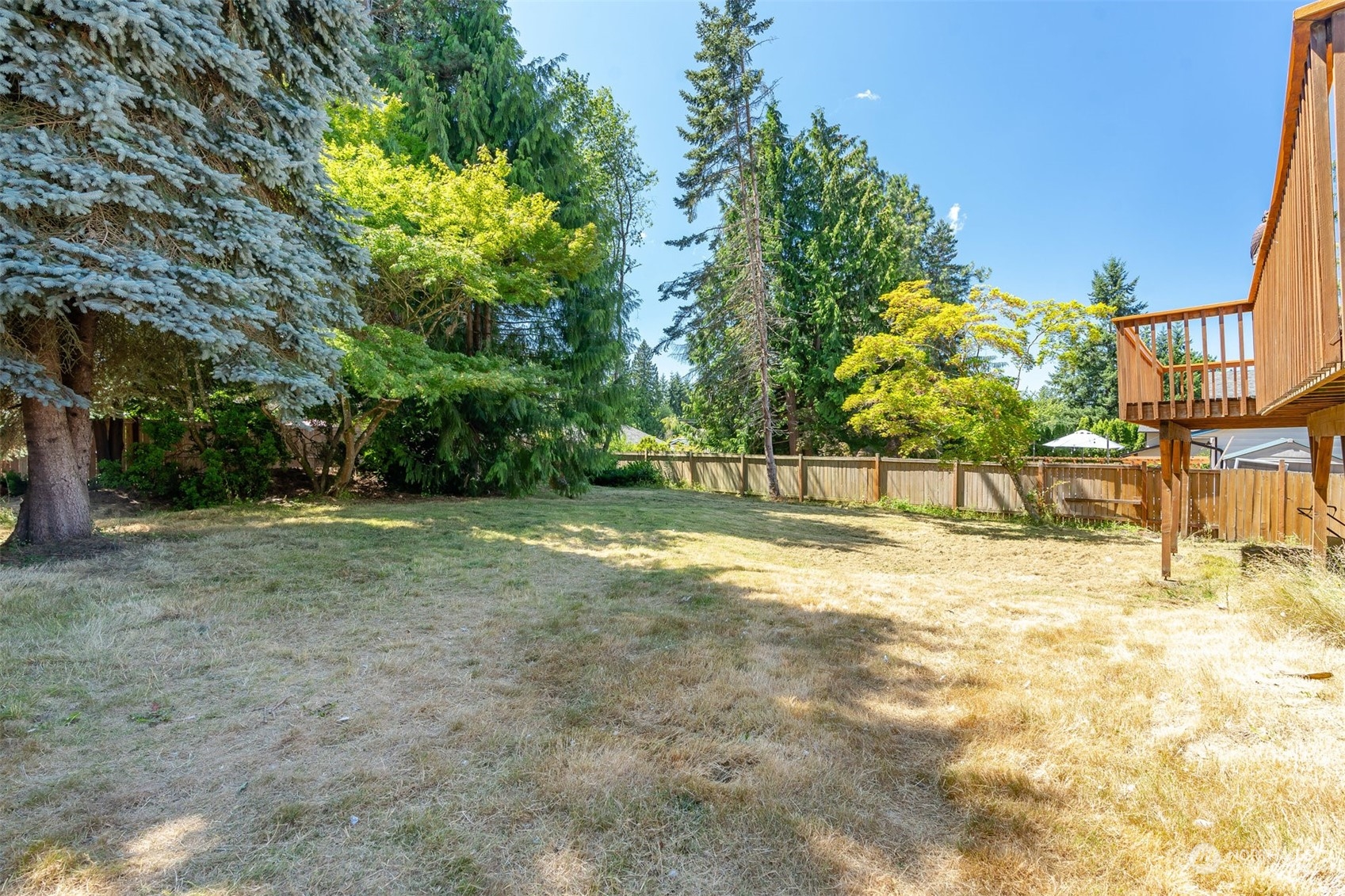 10033 Northeast 204th Street Bothell, WA 98011 - Photo 25 of 26 a view of backyard with large trees