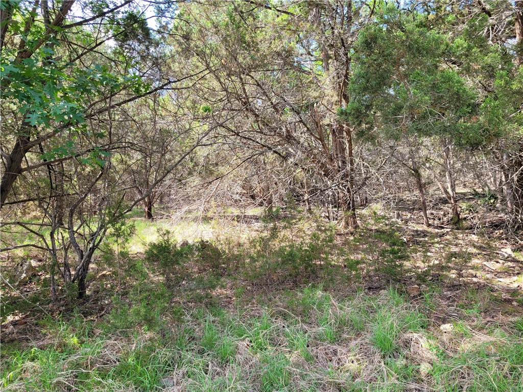 9015 Rebecca Creek Road Spring Branch, TX 78070 - Photo 1 of 1 Gallery Image 1