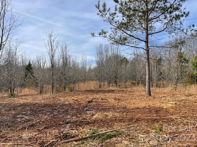 Lot A Settle Road Inman, SC 29349 - Photo 1 of 3 a backyard of a house with large trees