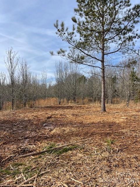 Lot A Settle Road Inman, SC 29349 - Photo 3 of 3 a view of a yard