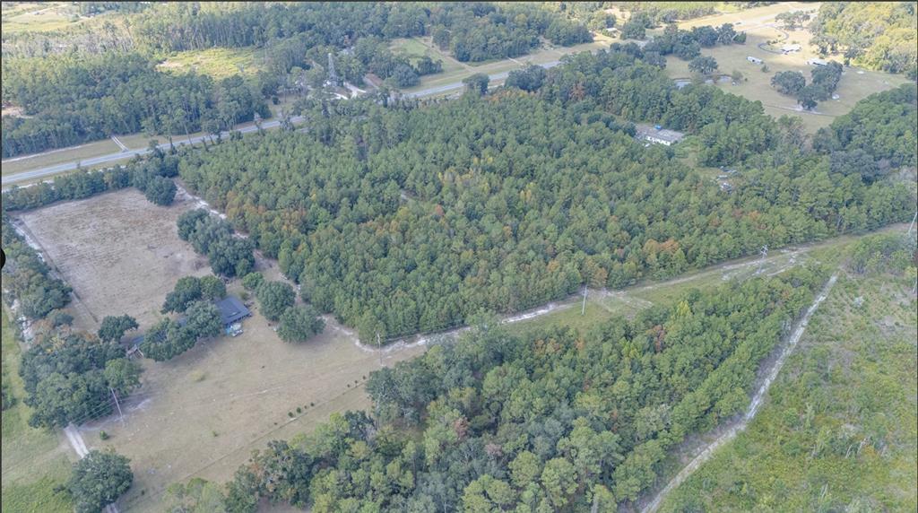2 Highway 41 Sarasota, FL 34236 - Photo 9 of 10 a view of a forest with a street
