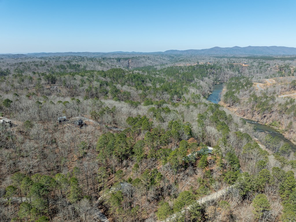 30 Gothic Court Ellijay, GA 30540 - Photo 12 of 59 Gallery Image 12