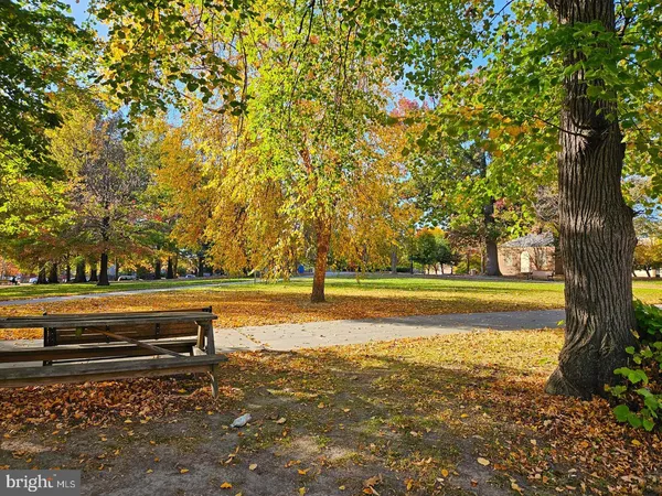 a view of yard with swimming pool and trees in the background