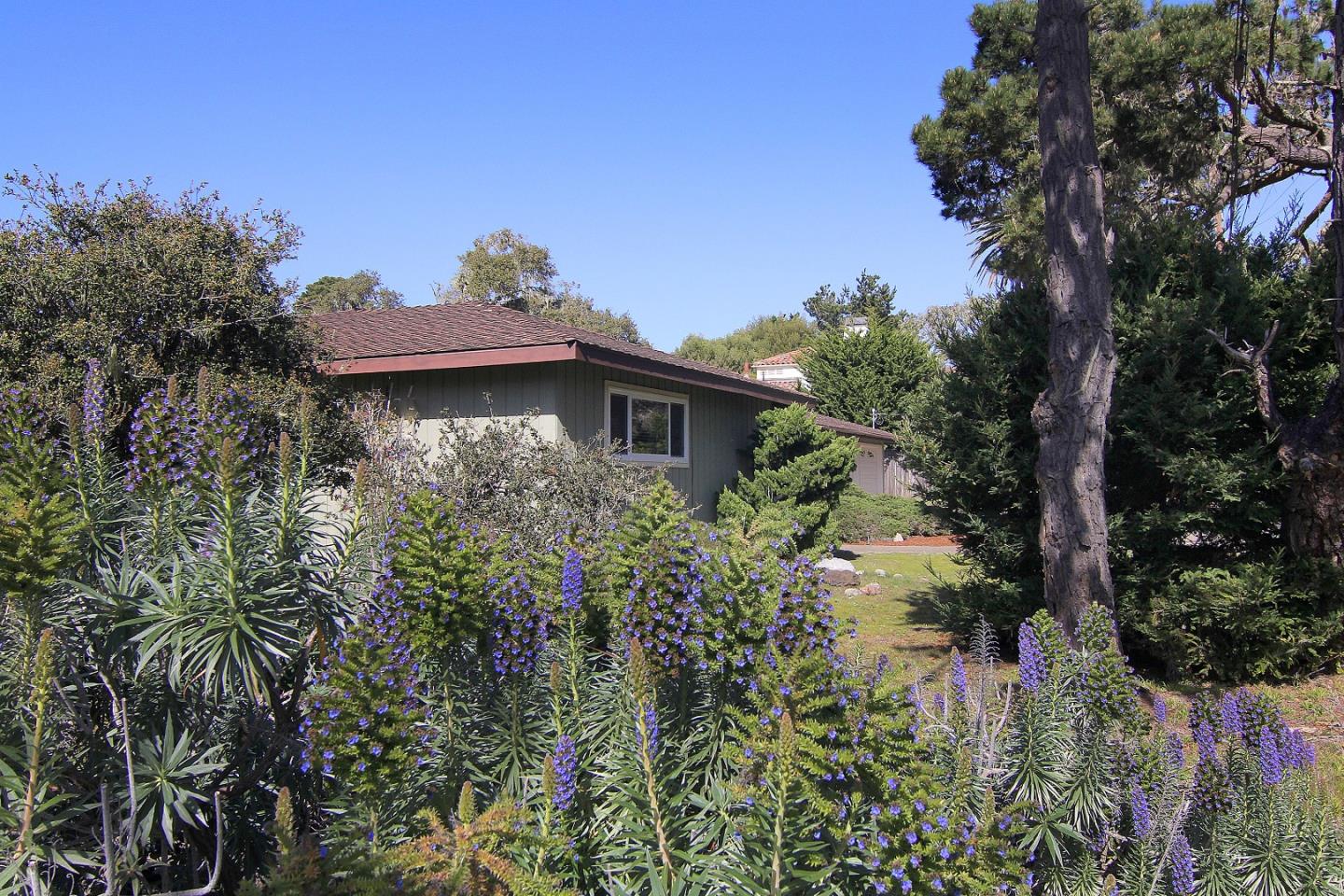 3092 Valdez Road Pebble Beach, CA 93953 - Photo 8 of 17 a view of a pathway in a garden