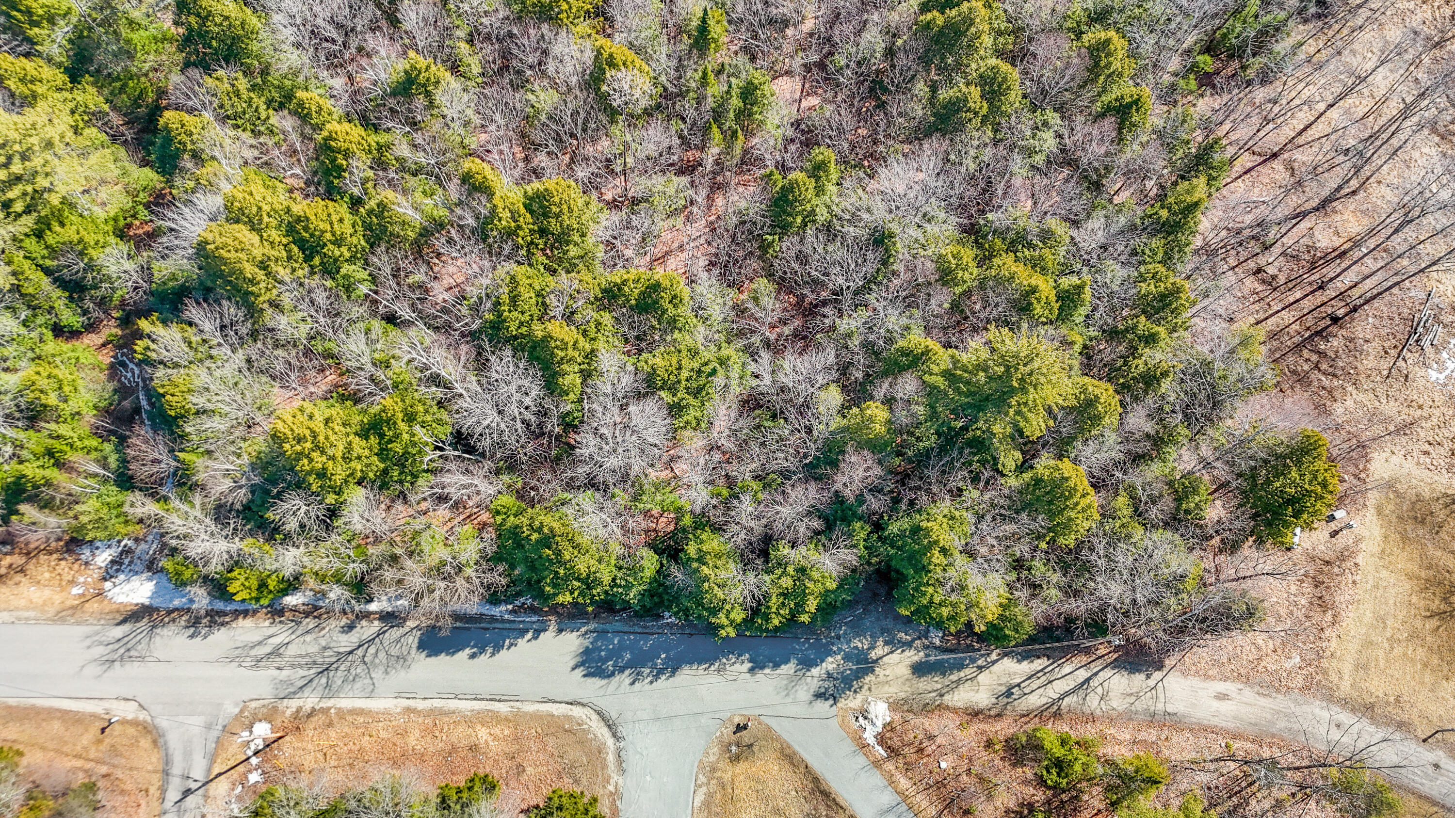Tbd David Louis Drive Durham, ME 04222 - Photo 9 of 12 5-print-DJI_20250322131551_0112_D-2
