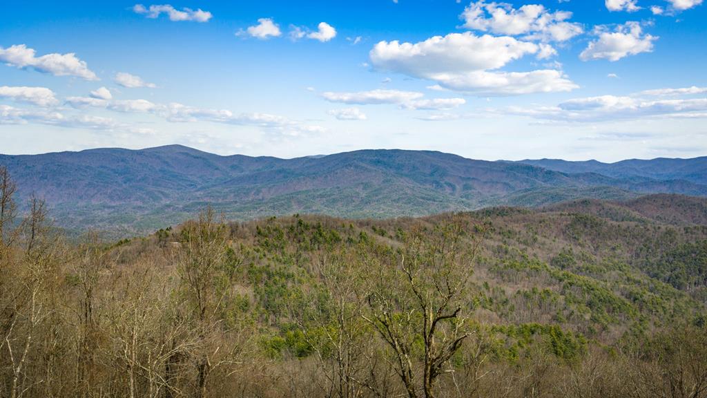 Lot 7 Pinhoti Pass Ellijay, GA 30540 - Photo 13 of 31