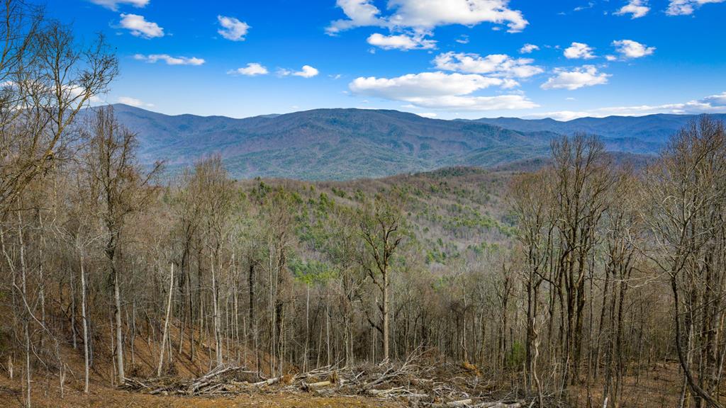 Lot 7 Pinhoti Pass Ellijay, GA 30540 - Photo 14 of 31