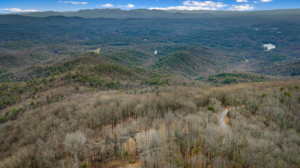 Lot 7 Pinhoti Pass Ellijay, GA 30540 - Photo 16 of 31