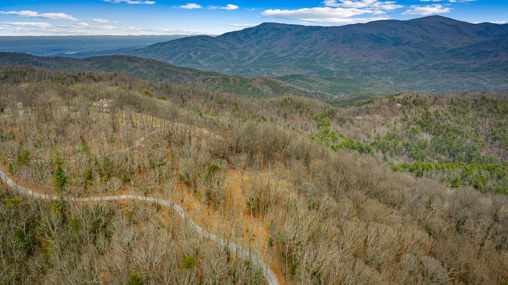 Lot 7 Pinhoti Pass Ellijay, GA 30540 - Photo 20 of 31