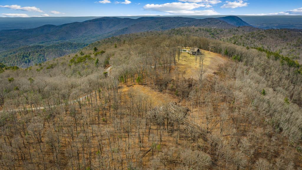 Lot 7 Pinhoti Pass Ellijay, GA 30540 - Photo 21 of 31