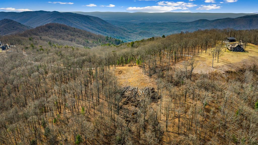Lot 7 Pinhoti Pass Ellijay, GA 30540 - Photo 24 of 31