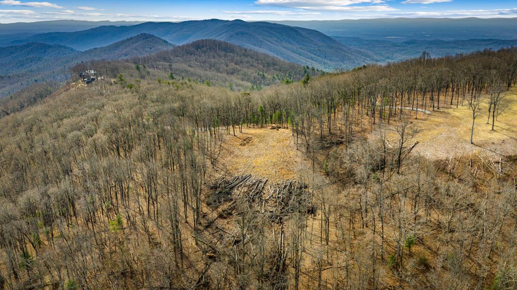 Lot 7 Pinhoti Pass Ellijay, GA 30540 - Photo 25 of 31