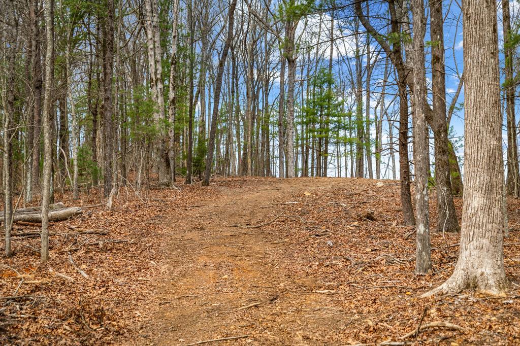 Lot 7 Pinhoti Pass Ellijay, GA 30540 - Photo 27 of 31