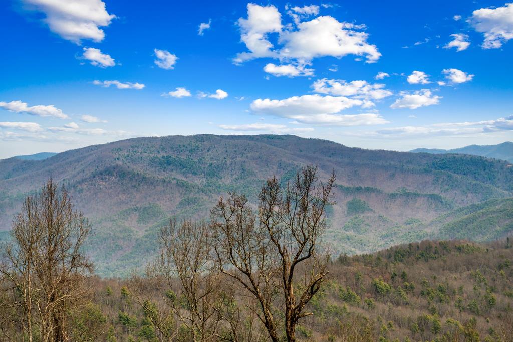 Lot 7 Pinhoti Pass Ellijay, GA 30540 - Photo 30 of 31