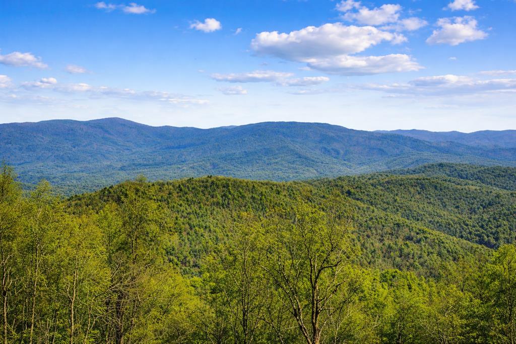 Lot 7 Pinhoti Pass Ellijay, GA 30540 - Photo 7 of 31