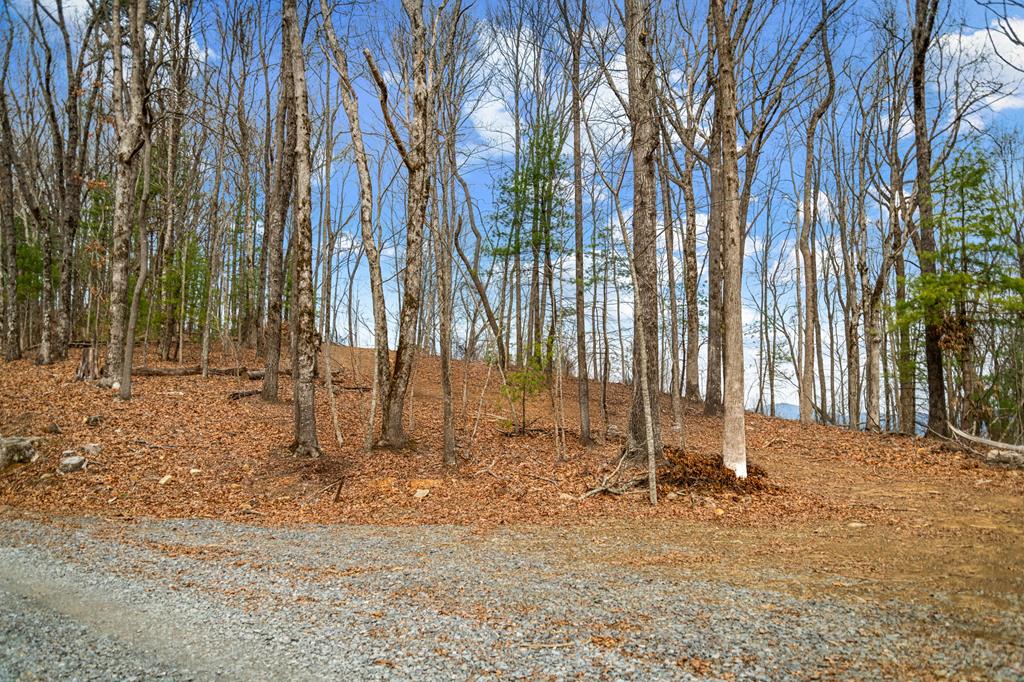 Lot 7 Pinhoti Pass Ellijay, GA 30540 - Photo 10 of 31