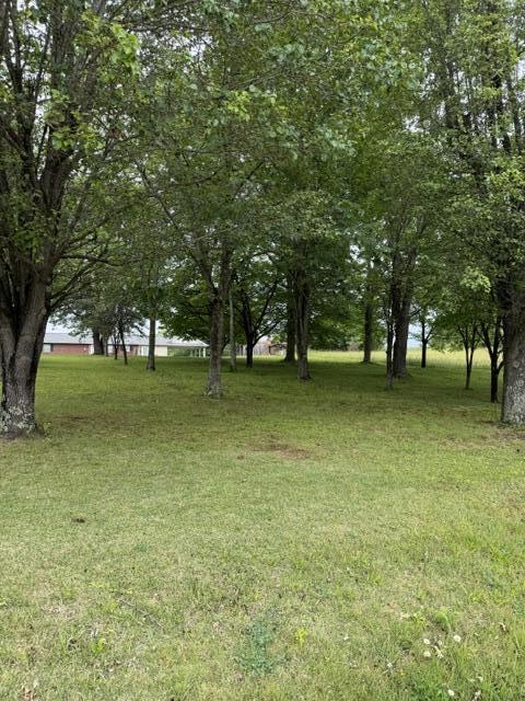 1111 Browning Acres Road, Unit LOT 9 Corbin, KY 40701 - Photo 6 of 9 IMG_6635