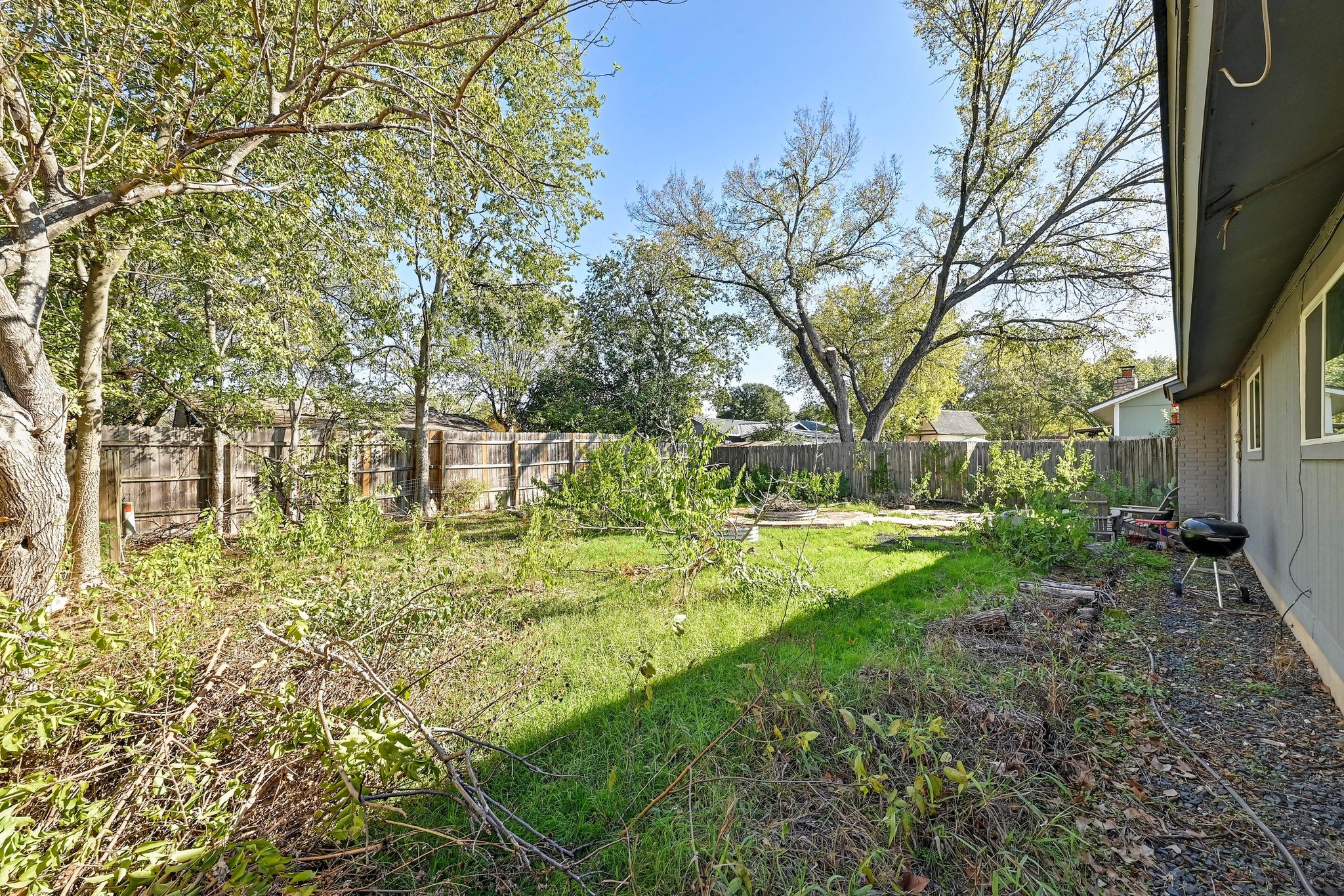 1208 Milford Way Austin, TX 78745 - Photo 18 of 22 a view of yard with tree