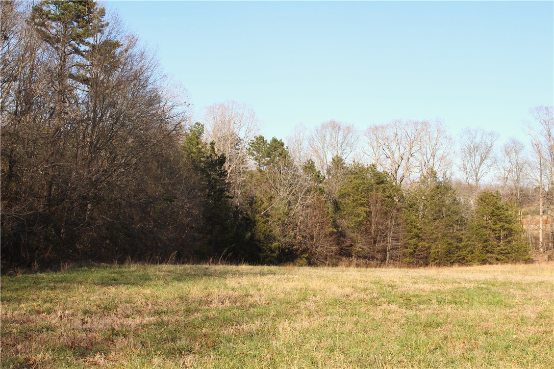 0 Wilkins Road Campobello, SC 29322 - Photo 5 of 12
