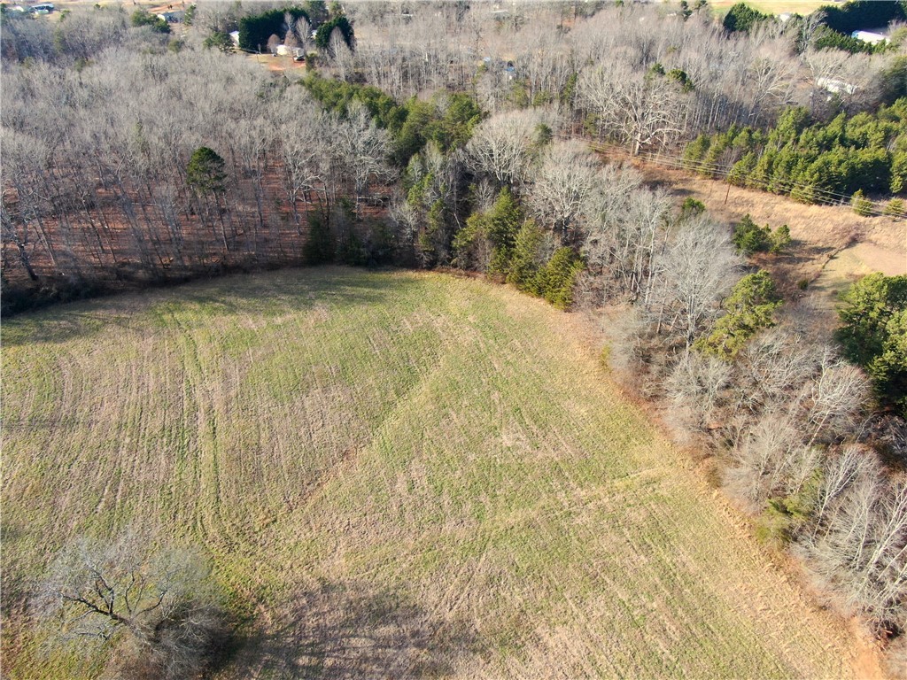 0 Wilkins Road Campobello, SC 29322 - Photo 8 of 12