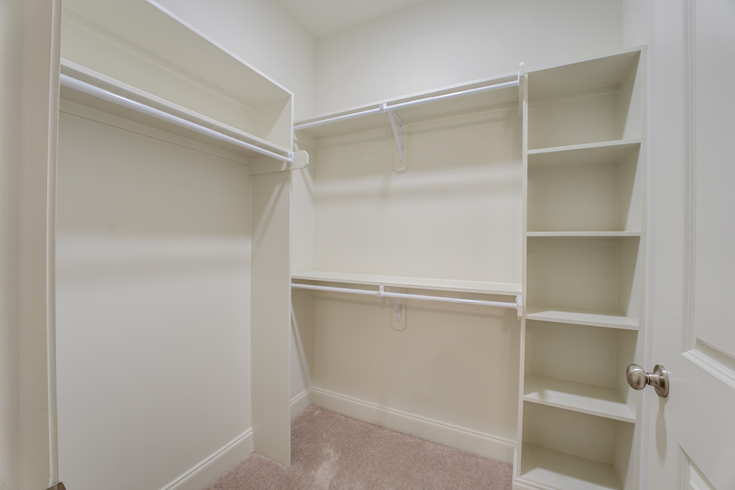 909 Ufton Alley Collierville, TN 38017 - Photo 18 of 29 a view of an empty walk in closet