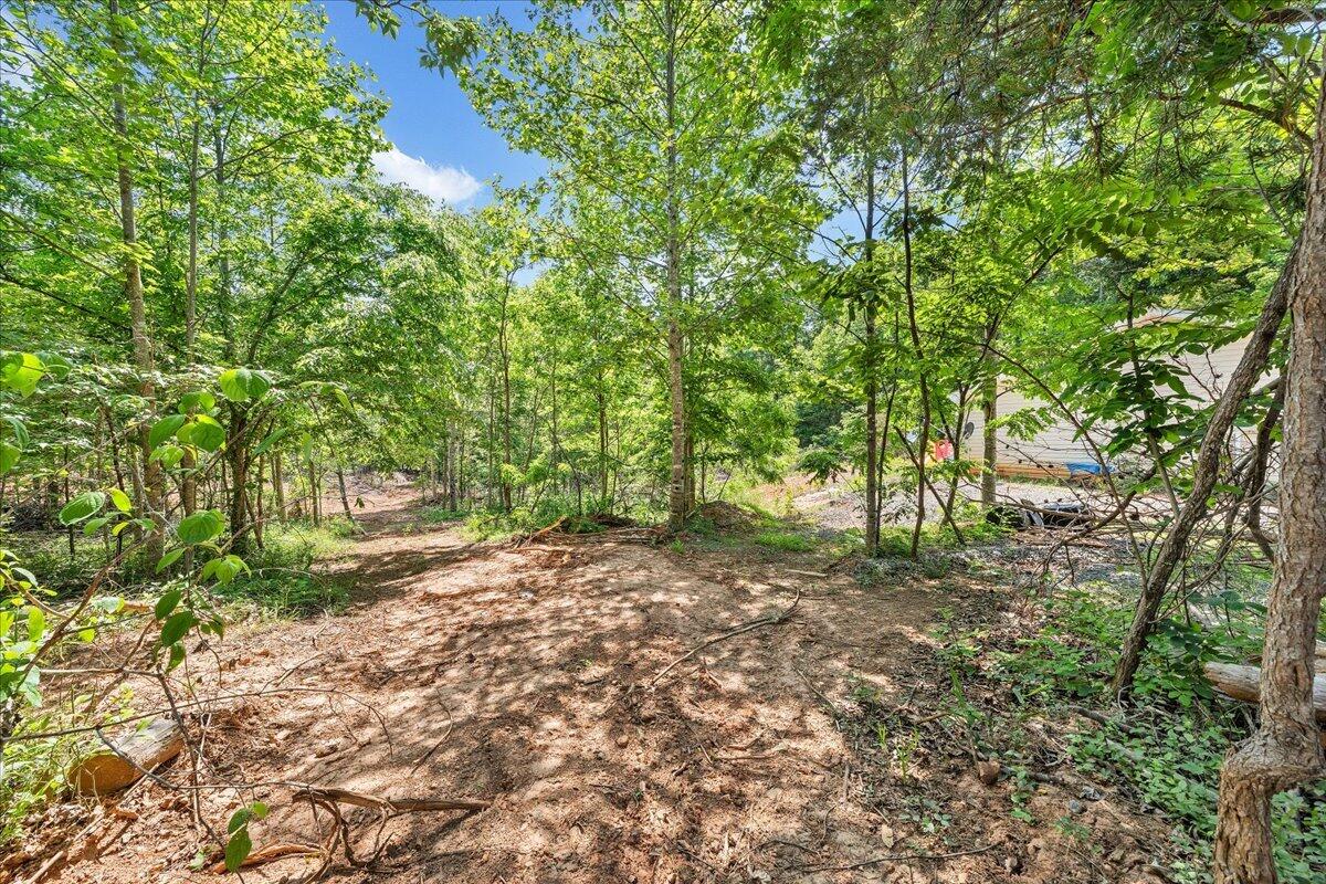 6427 Fork Mountain Road Rocky Mount, VA 24151 - Photo 21 of 21 21-MIB05593
