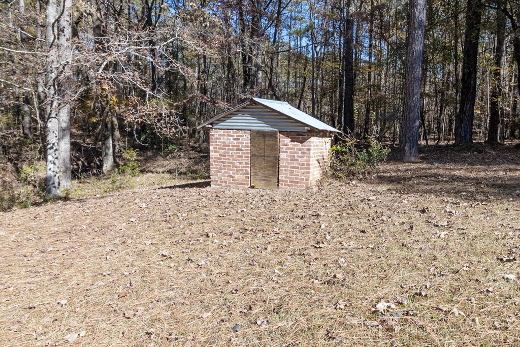 1274 Grey Rock Road Midland, GA 31820 - Photo 24 of 30 Outbuilding