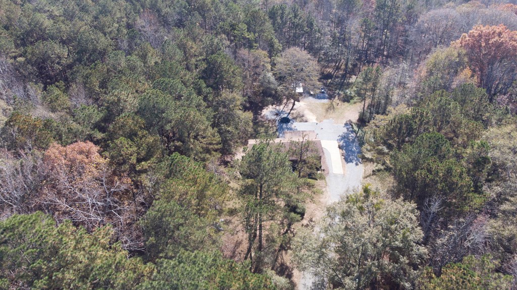 1274 Grey Rock Road Midland, GA 31820 - Photo 30 of 30 Ariel View