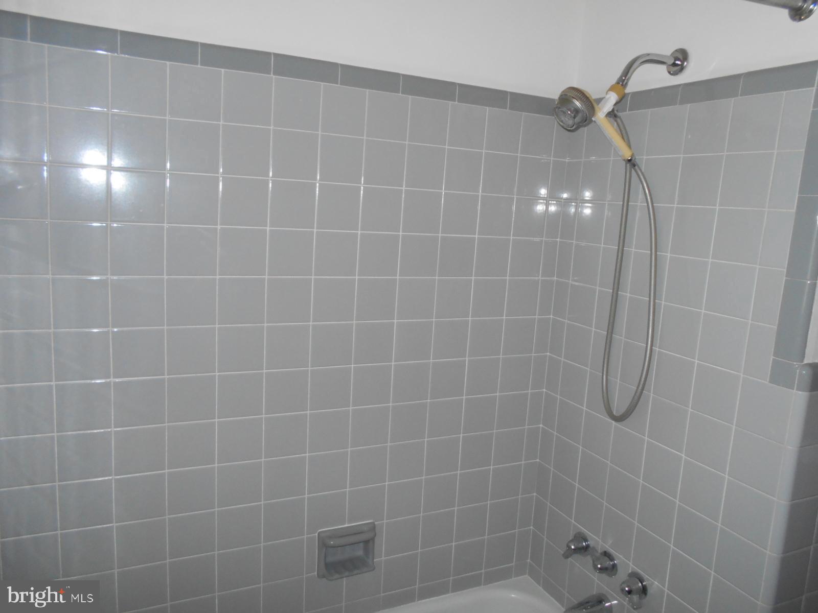 25 Chapel Road Birdsboro, PA 19508 - Photo 20 of 27 Bathroom - Shower