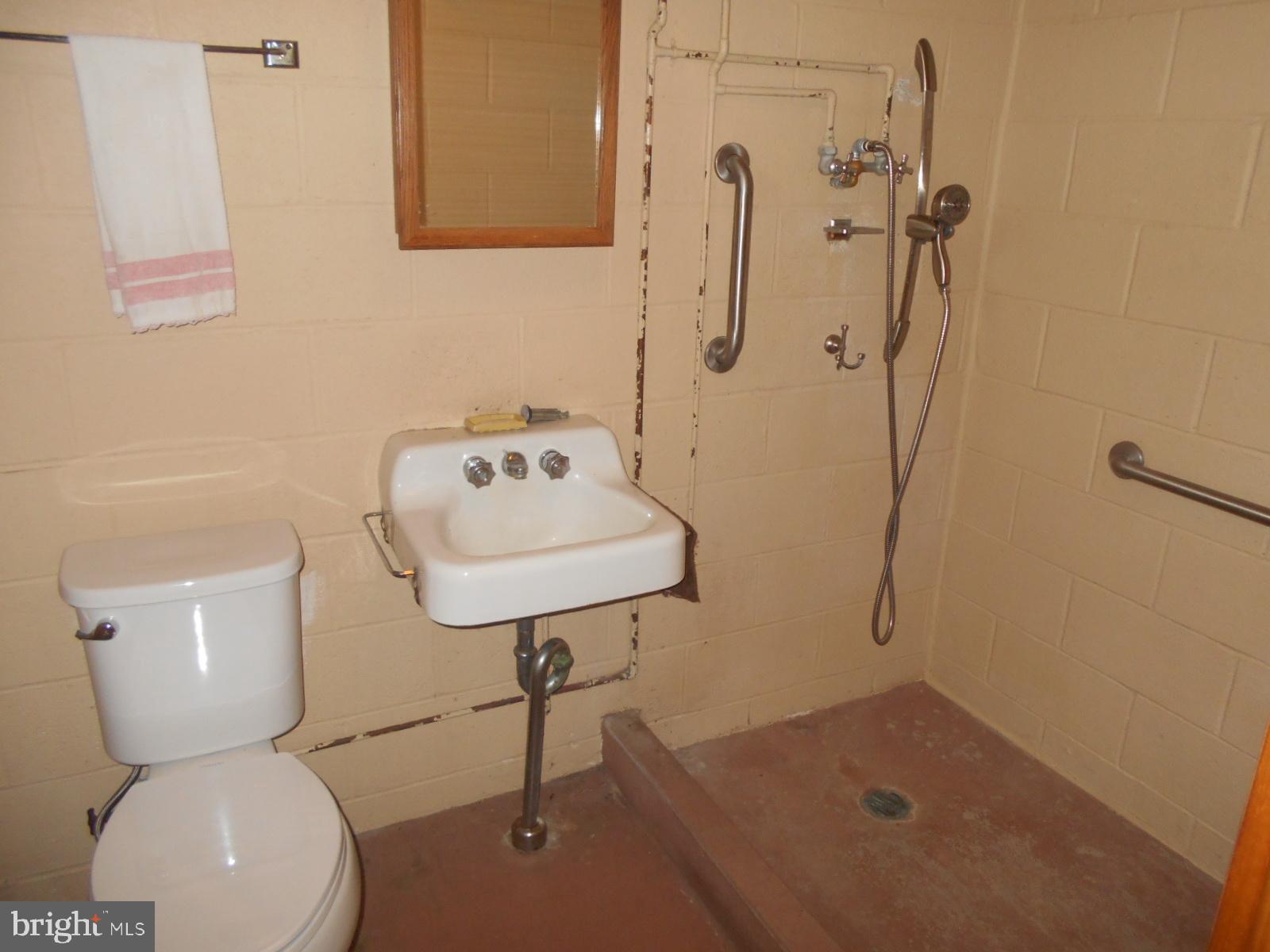 25 Chapel Road Birdsboro, PA 19508 - Photo 25 of 27 Full Bathroom - Basement