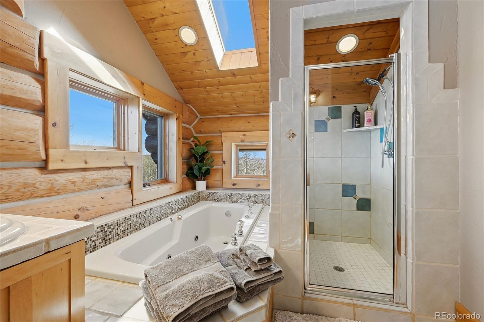 252 Iron Mountain Road Fairplay, CO 80440 - Photo 19 of 50 a bathroom with a bathtub and a shower