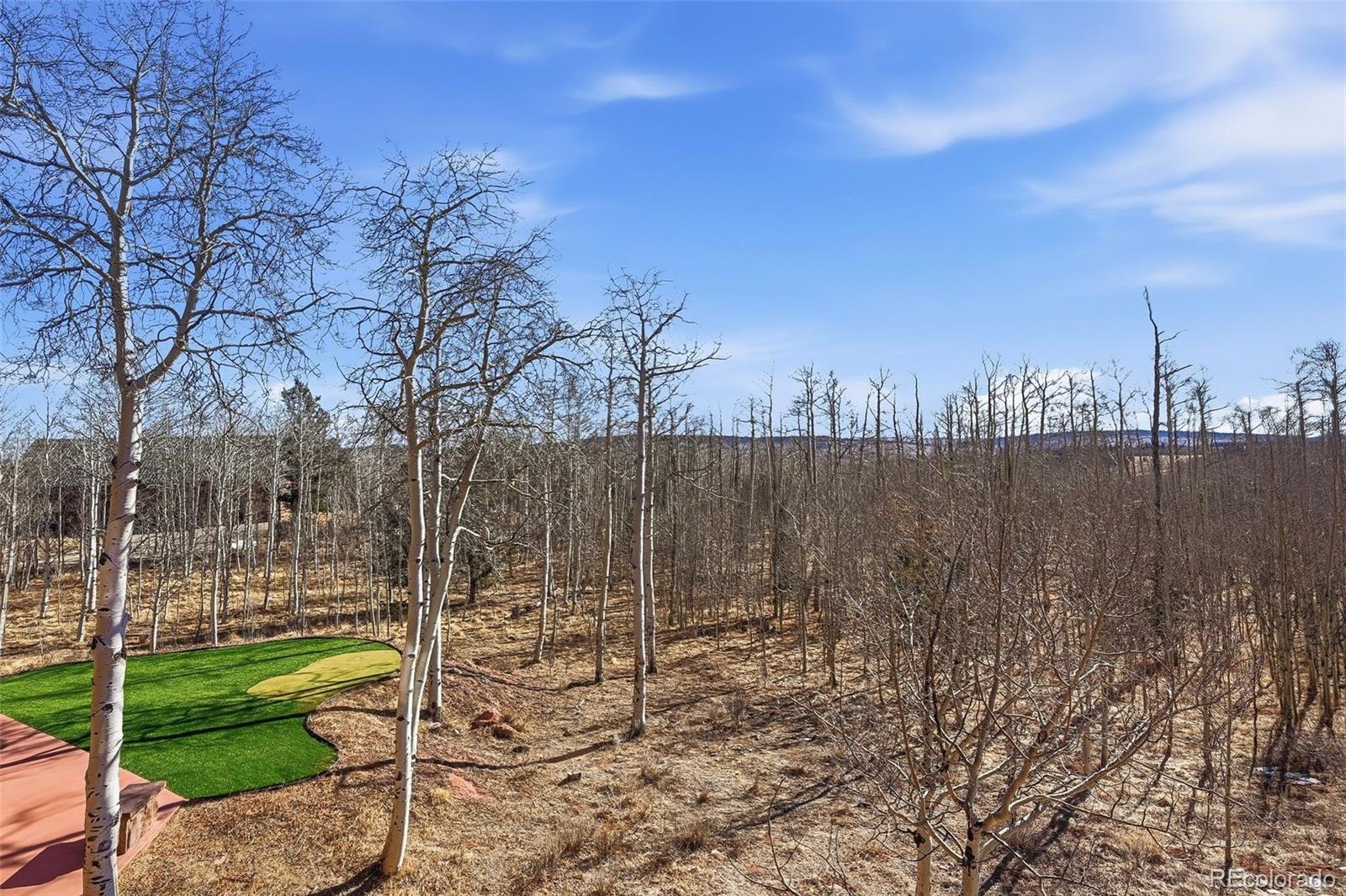252 Iron Mountain Road Fairplay, CO 80440 - Photo 37 of 50 a view of a yard with wooden fence