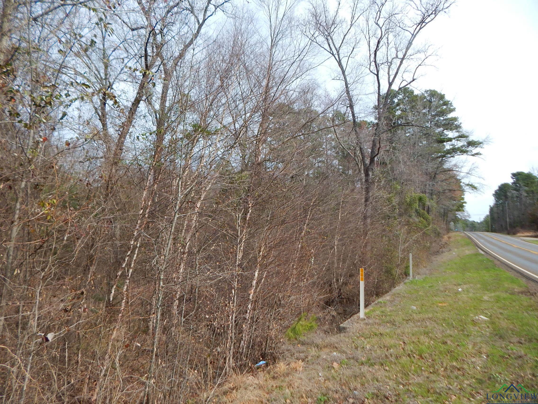 11.72 Acres George Richey Road White Oak, TX 75693 - Photo 5 of 17 Gallery Image 5