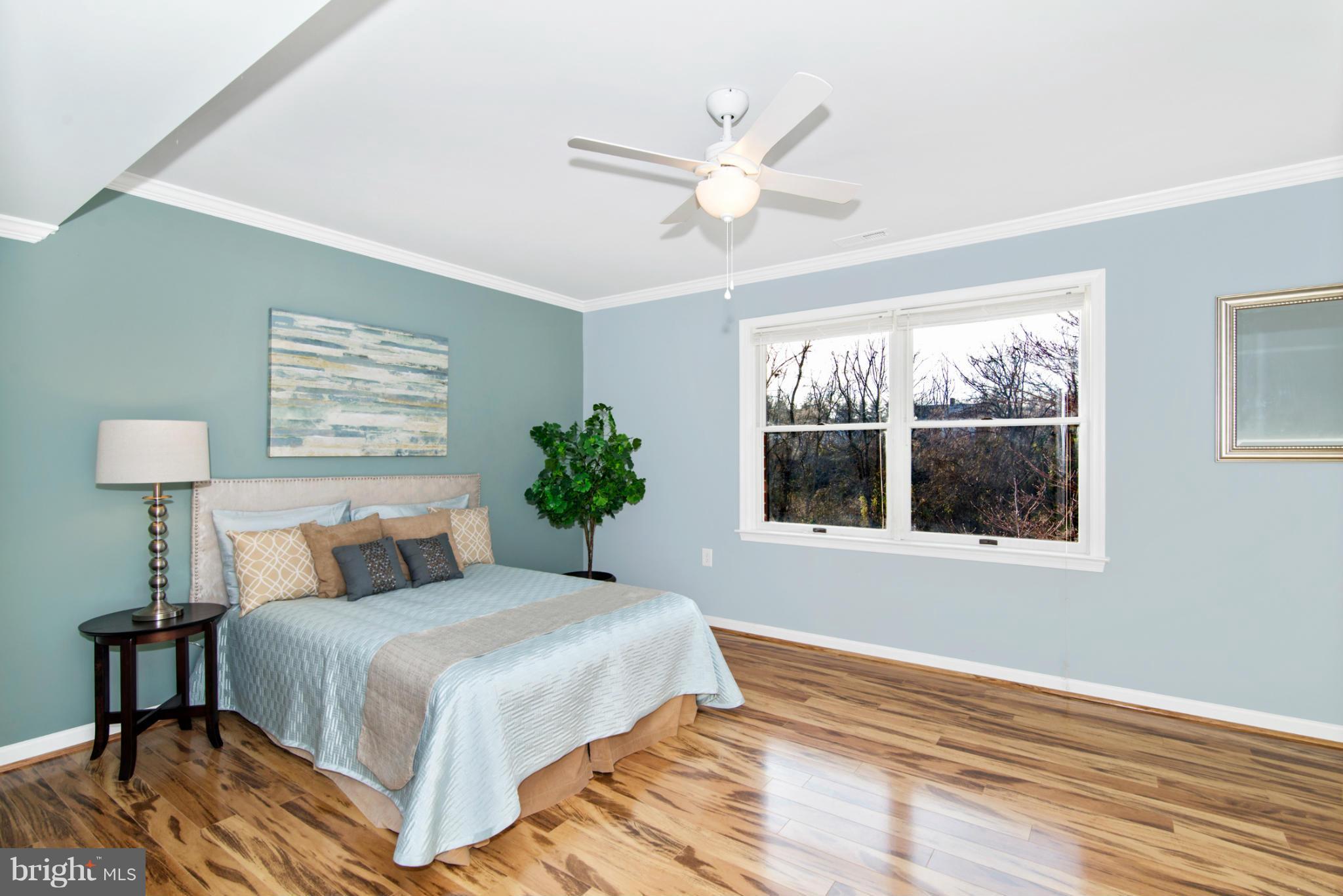 11920 Main Street, Unit 210A Libertytown, MD 21701 - Photo 21 of 30 Bedroom (Master)