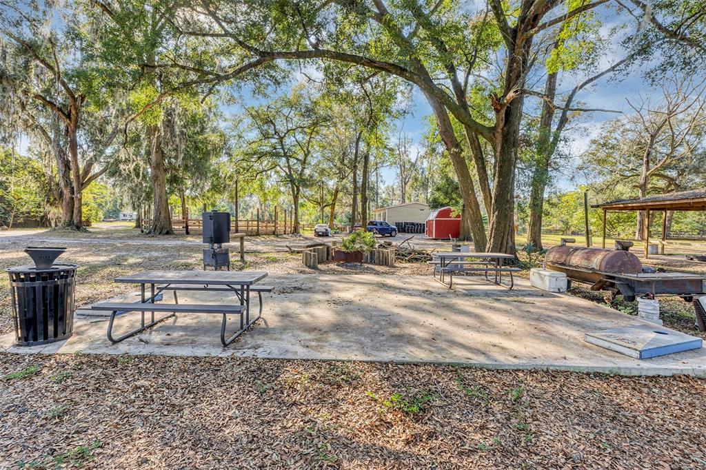 208 Northeast 70th Street Ocala, FL 34475 - Photo 11 of 71 a view of a park with bench and trees
