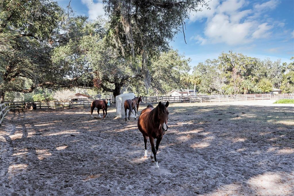 208 Northeast 70th Street Ocala, FL 34475 - Photo 17 of 71 a view of outdoor space with playground and green space