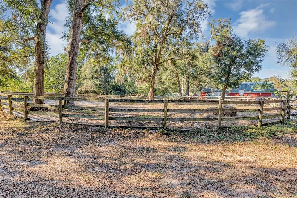 208 Northeast 70th Street Ocala, FL 34475 - Photo 8 of 71