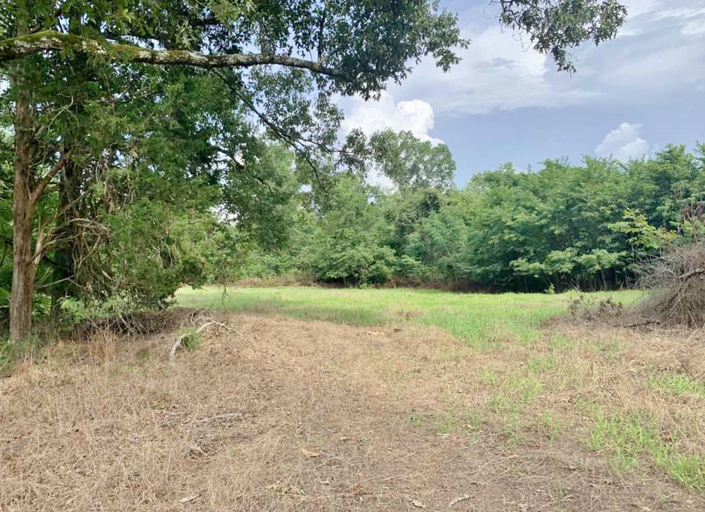 3000 Stonington Road Lorman, MS 39096 - Photo 24 of 38 Photo 24