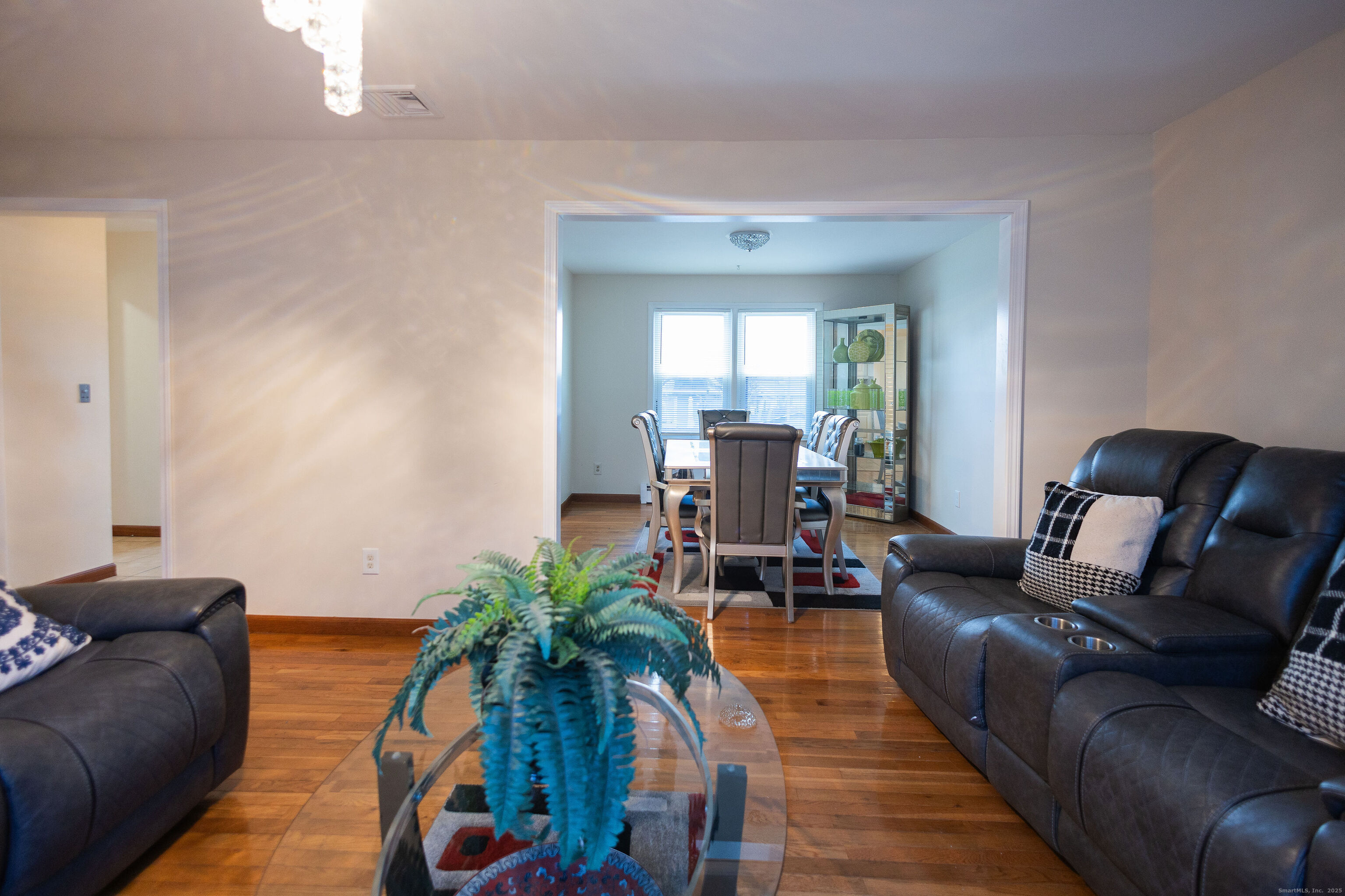 138 Infield Street Bridgeport, CT 06606 - Photo 6 of 31 a living room with furniture and a potted plant